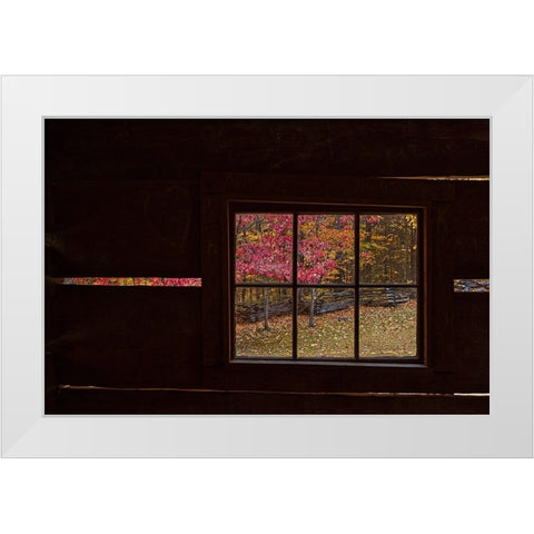 Roaring Fork Cabin Window White Modern Wood Framed Art Print by Galloimages Online