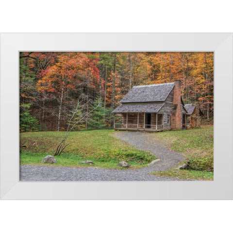 Smokies Cabin 2 (Hw) White Modern Wood Framed Art Print by Galloimages Online