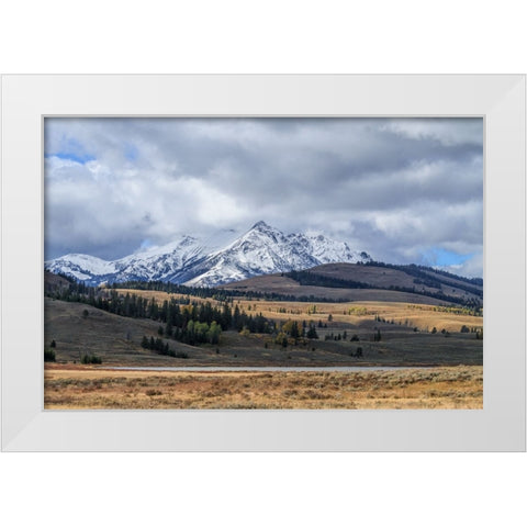 Swan Lake And Electric Peak White Modern Wood Framed Art Print by Galloimages Online