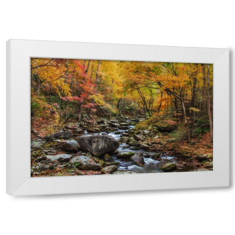 Tremont Stream Watercolor White Modern Wood Framed Art Print by Galloimages Online