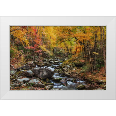 Tremont Stream Watercolor White Modern Wood Framed Art Print by Galloimages Online