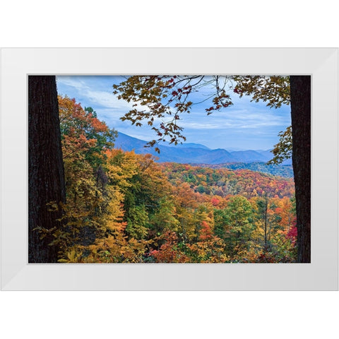 Window To The Smoky Mountains White Modern Wood Framed Art Print by Galloimages Online