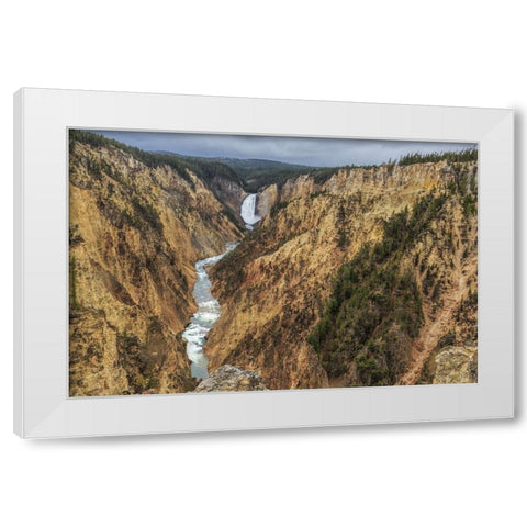 Yellowstone Grand Canyon - Lower Falls White Modern Wood Framed Art Print by Galloimages Online