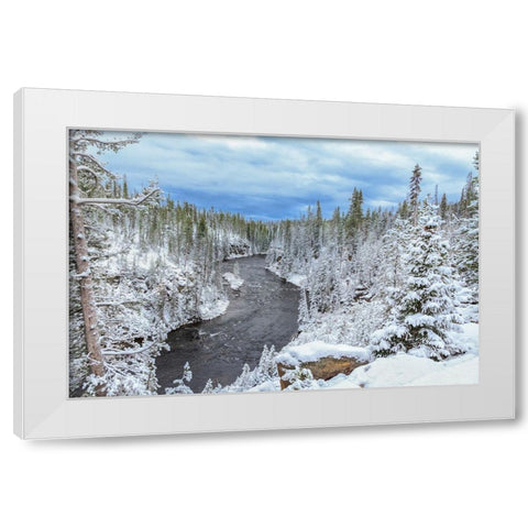 Yellowstone Winter In Fall White Modern Wood Framed Art Print by Galloimages Online