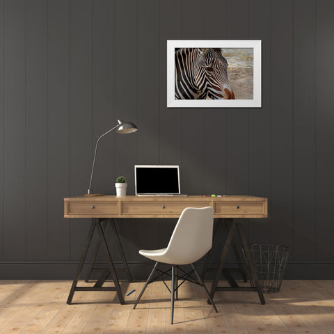 Zebra White Modern Wood Framed Art Print by Galloimages Online
