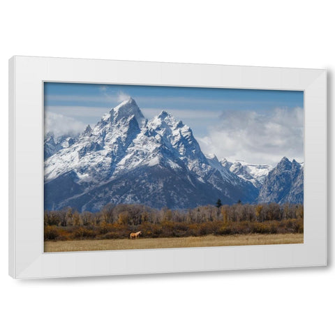 A Horse In Front Of The Grand Teton White Modern Wood Framed Art Print by Galloimages Online