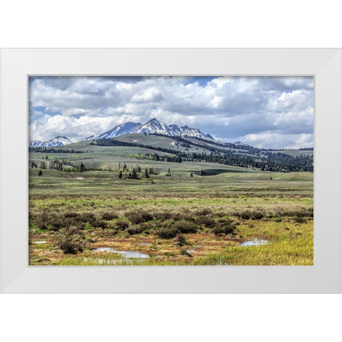 Electric Peak White Modern Wood Framed Art Print by Galloimages Online