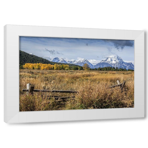 GTNP Scene Mt. Moran White Modern Wood Framed Art Print by Galloimages Online
