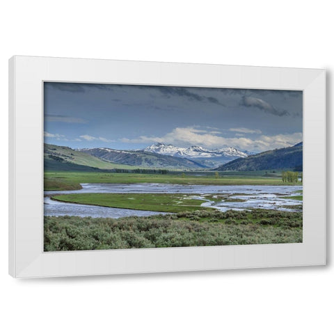 Lamar Valley (YNP) White Modern Wood Framed Art Print by Galloimages Online