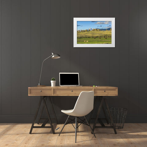 Lamar Valley - Pronghorn And Bison White Modern Wood Framed Art Print by Galloimages Online