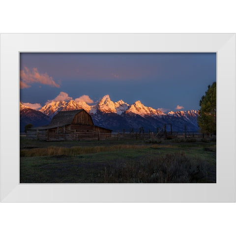 Moulton Barn At Sunrise White Modern Wood Framed Art Print by Galloimages Online