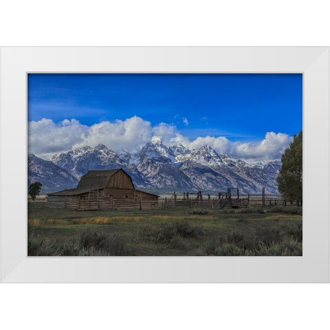 Moulton Barn White Modern Wood Framed Art Print by Galloimages Online