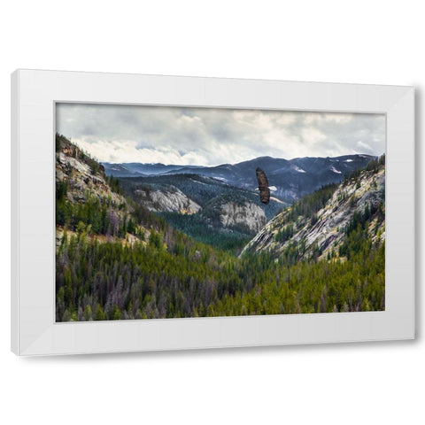 Mountains With Eagle White Modern Wood Framed Art Print by Galloimages Online