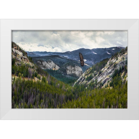 Mountains With Eagle White Modern Wood Framed Art Print by Galloimages Online