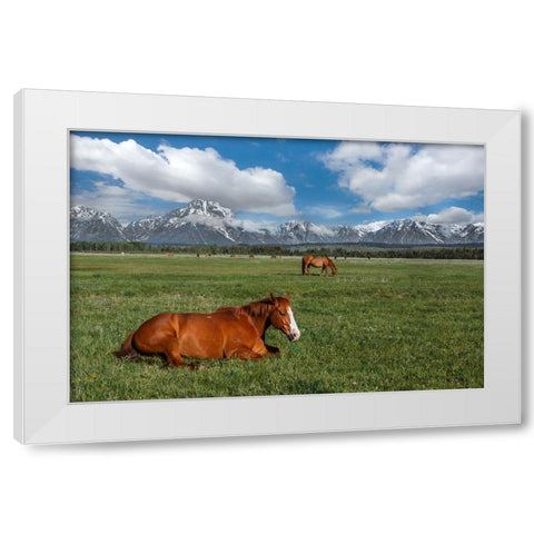 Teton Horses White Modern Wood Framed Art Print by Galloimages Online