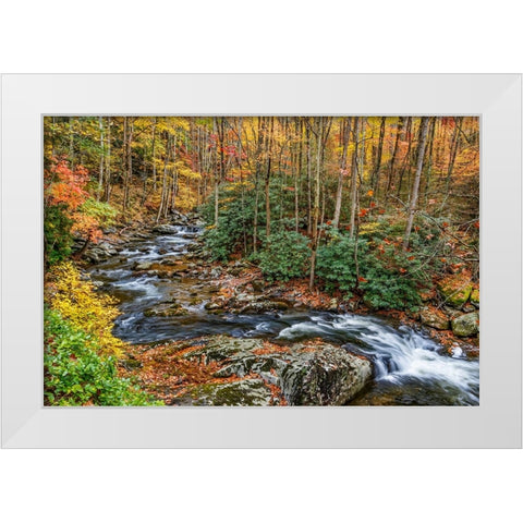 Tremont Stream White Modern Wood Framed Art Print by Galloimages Online