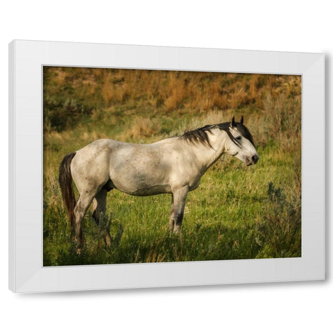 Wild Horse White Modern Wood Framed Art Print by Galloimages Online