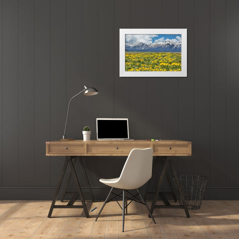 Wild Flowers With Mountains (YNP) White Modern Wood Framed Art Print by Galloimages Online