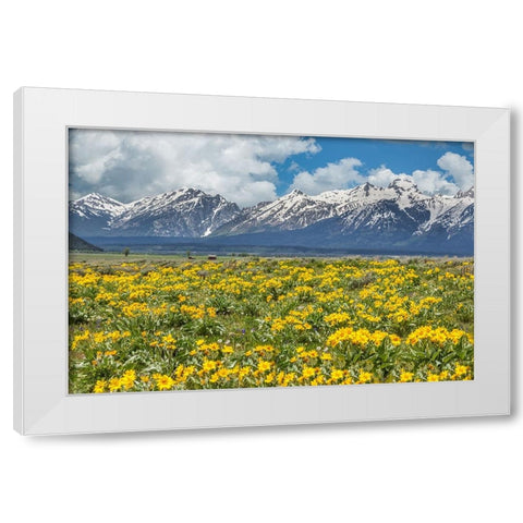 Wild Flowers With Mountains (YNP) White Modern Wood Framed Art Print by Galloimages Online
