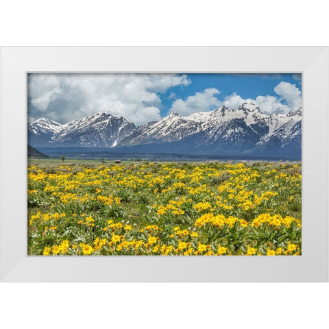 Wild Flowers With Mountains (YNP) White Modern Wood Framed Art Print by Galloimages Online