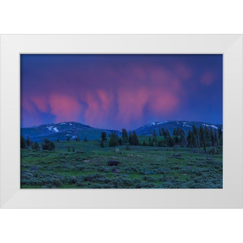 YNP Sunset White Modern Wood Framed Art Print by Galloimages Online