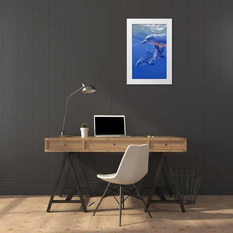 Dolphin Smile White Modern Wood Framed Art Print by Stevenson, Graeme