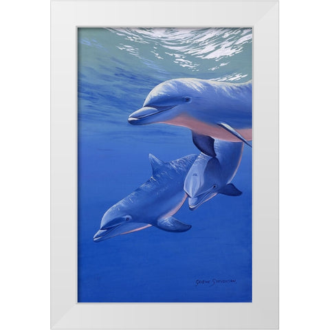 Dolphin Smile White Modern Wood Framed Art Print by Stevenson, Graeme