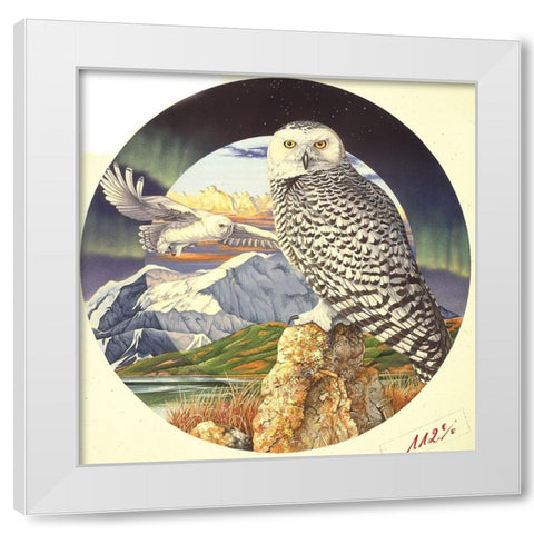 Northern Lights White Modern Wood Framed Art Print by Stevenson, Graeme