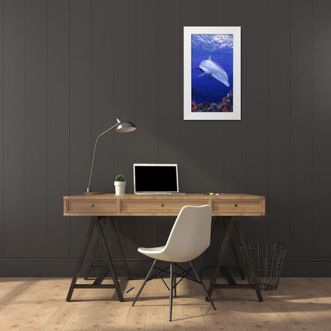 On My Own White Modern Wood Framed Art Print by Stevenson, Graeme
