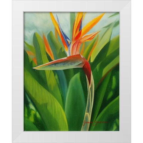 Paradise 2 White Modern Wood Framed Art Print by Stevenson, Graeme