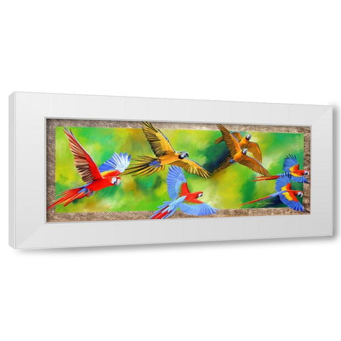 Parrot Party White Modern Wood Framed Art Print by Stevenson, Graeme