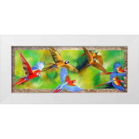 Parrot Party White Modern Wood Framed Art Print by Stevenson, Graeme