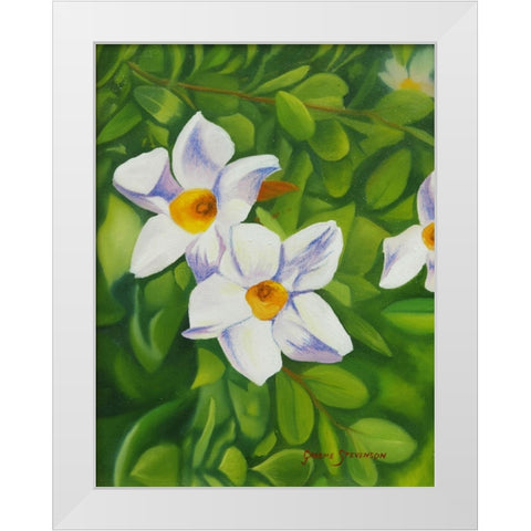 White Flower White Modern Wood Framed Art Print by Stevenson, Graeme