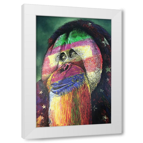 IMG_4910 White Modern Wood Framed Art Print by Stevenson, Graeme