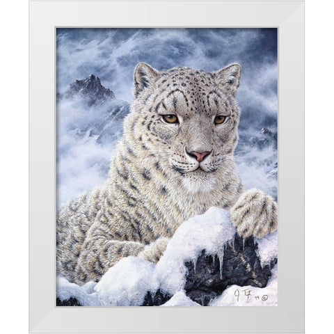 Cat White Modern Wood Framed Art Print by Tift, Jeff