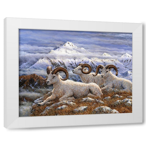 Denali Rams White Modern Wood Framed Art Print by Tift, Jeff