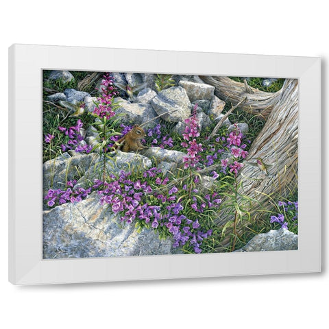 Squirrel Painting White Modern Wood Framed Art Print by Tift, Jeff