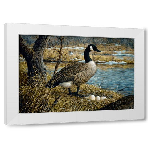 Canadian Goose White Modern Wood Framed Art Print by Tift, Jeff