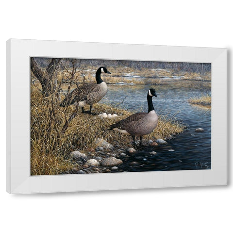 Canadian Pair White Modern Wood Framed Art Print by Tift, Jeff