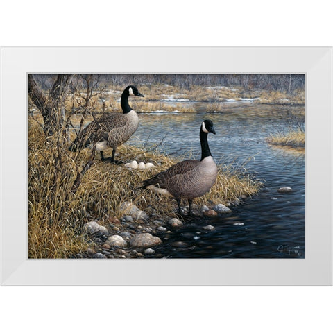 Canadian Pair White Modern Wood Framed Art Print by Tift, Jeff