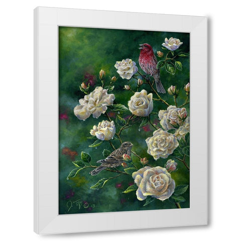 Purple Finch White Modern Wood Framed Art Print by Tift, Jeff