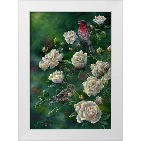 Purple Finch White Modern Wood Framed Art Print by Tift, Jeff