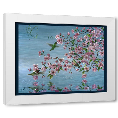 Broad Tailed Hummer White Modern Wood Framed Art Print by Tift, Jeff