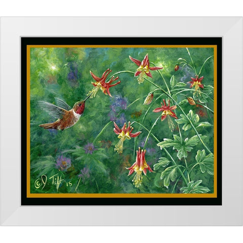 Rufous Hummingbird White Modern Wood Framed Art Print by Tift, Jeff