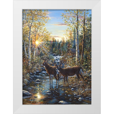 Whitetail Deer White Modern Wood Framed Art Print by Tift, Jeff