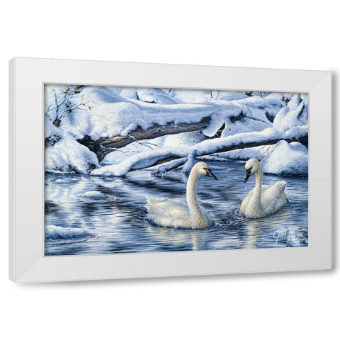 Tundra Swans White Modern Wood Framed Art Print by Tift, Jeff