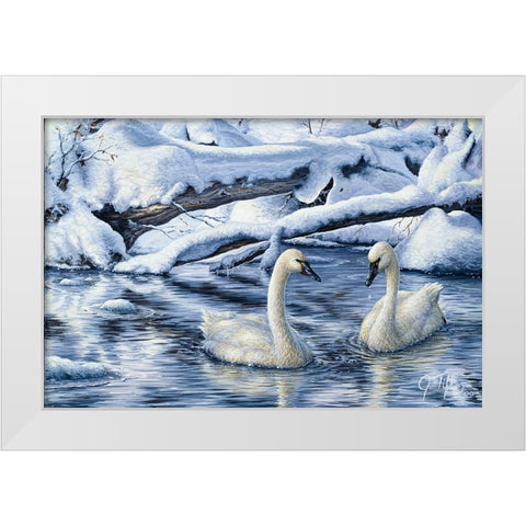 Tundra Swans White Modern Wood Framed Art Print by Tift, Jeff