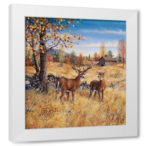 Colors Of Autumn White Modern Wood Framed Art Print by Tift, Jeff