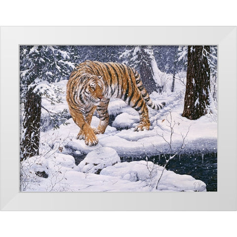 Silent Hunter- Siberian Tiger White Modern Wood Framed Art Print by Tift, Jeff