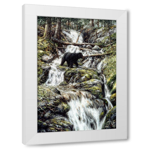 Bear Creek Crossing White Modern Wood Framed Art Print by Tift, Jeff